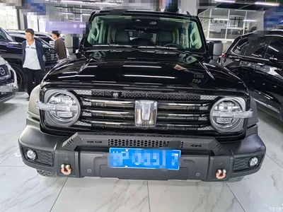 2021 Tank 300 Off-road Version 2.0T Conqueror, фото 2, лот 10344575