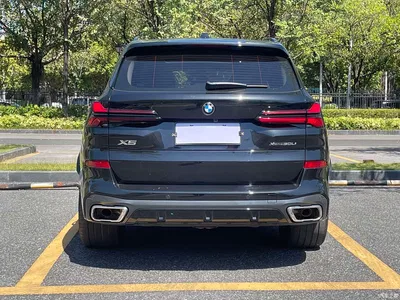 2025 BMW X5 Model xDrive 30Li Exclusive M Sport Blackout Package, фото 4, лот 11569090