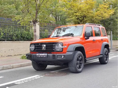 2021 Tank 300 Off-road Version 2.0T Conqueror, фото 1, лот 11552645