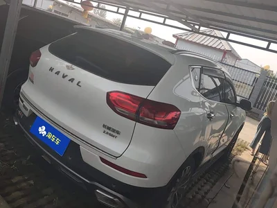 2020 Haval H6 2.0GDIT Automatic Platinum Champion Edition, фото 3, лот 11243549