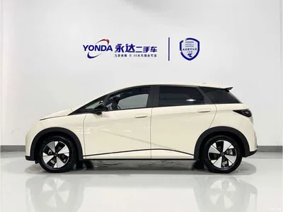 2023 BYD Dolphin 420km Fashion Edition, фото 4, лот 10766143