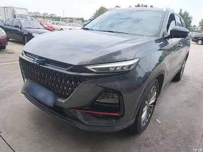 2022 Changan Oshan X7 PLUS 1.5T Blue Whale Edition Auto Intelligent Premium, фото 1, лот 11162684