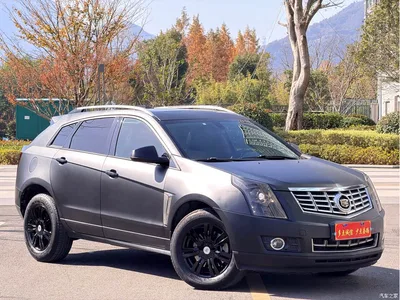 2015 Cadillac SRX 3.0L Luxury, фото 3, лот 10302155