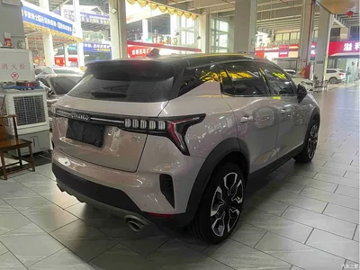 2021 Lynk & Co 06 1.5T Shero Pink Special Edition, фото 2, лот 10441739