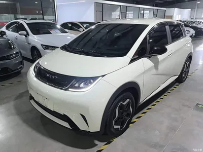 2025 BYD Dolphin 420km Vitality Edition, фото 2, лот 10260278