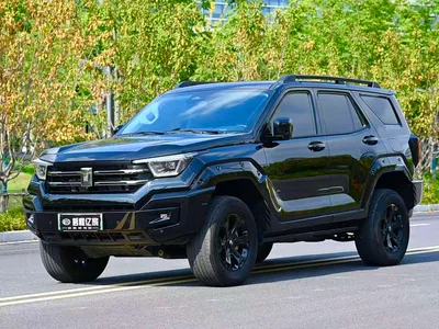 2024 Tank 400 New Energy Hi4-T Off-Road Edition, фото 1, лот 10398704