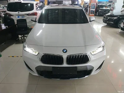 2020 BMW X2 sDrive25i Premium M Off-Road Package, фото 3, лот 10448439