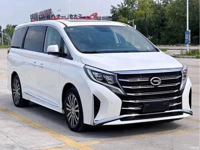 2021 GAC Trumpchi Trumpchi M8 Leading Show Series 390T Prestige Edition, фото 3, лот 10416292