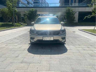 2019 Volkswagen Tiguan L 330TSI Automatic 2WD Panorama Comfort Edition China VI, фото 2, лот 10420041