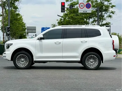 2024 Tank 500 EV Hi4-T, фото 4, лот 11067947