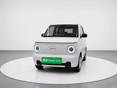 2024 Geely Galaxy Panda mini 200km Endurance Bear, фото 1, лот 10390252
