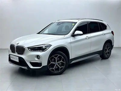 2018 BMW X1 sDrive18Li Premium Model, фото 1, лот 10409106