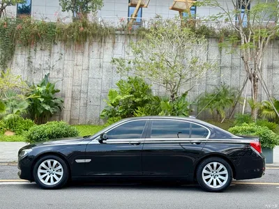 2009 BMW 7 Series 740Li Luxury, фото 3, лот 10458776