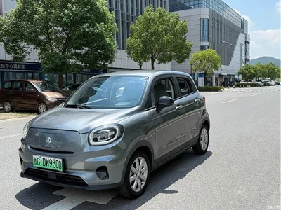 2022 Leapmotor T03 Agate Edition, фото 1, лот 10314554