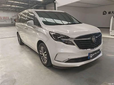 2021 Buick GL8 ES Landlord 653T Premium, фото 3, лот 10476692