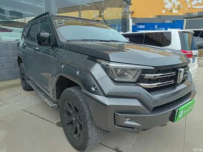 2024 Tank 400 New Energy Hi4-T Off-Road Edition, фото 4, лот 10345581