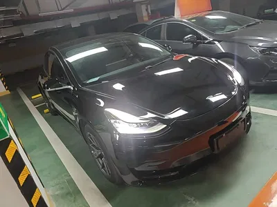 2020 Tesla Model 3 Standard Range Rear-Wheel Drive Upgrade, фото 4, лот 10389713