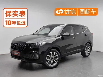 2020 WEY VV6 2.0T 2WD Smart Protection+, фото 1, лот 10452181