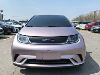 2021 BYD Dolphin Model 405km Fashion Edition, фото 2, лот 10247219