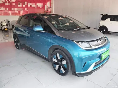 2021 BYD Dolphin 401km Knight Edition, фото 4, лот 10258798