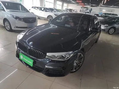2019 BMW 5 Series 530Li Leading M Sport Package, фото 2, лот 11002726