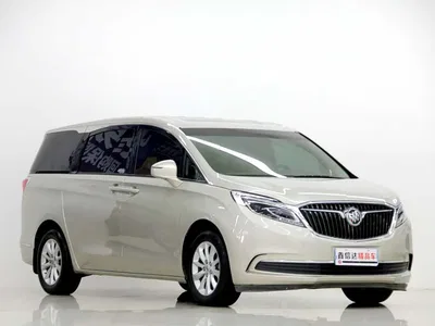 2017 Buick GL8 ES 28T Premium China V, фото 3, лот 10252665