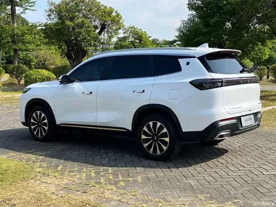 2025 Chery Tiggo 8 PLUS 290TGDI DCT Luxury 5-seater, фото 4, лот 11218871