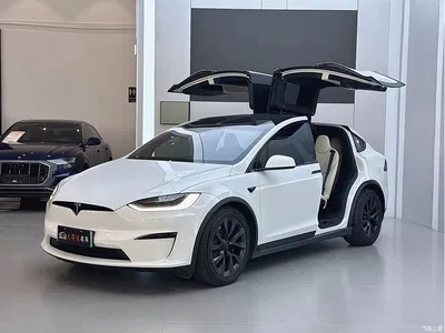 2023 Tesla Model X Dual Motor All-Wheel Drive Edition, фото 1, лот 10353491