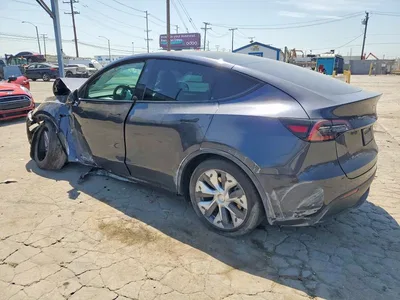 2024 TESLA MODEL Y, фото 2, лот 10854790