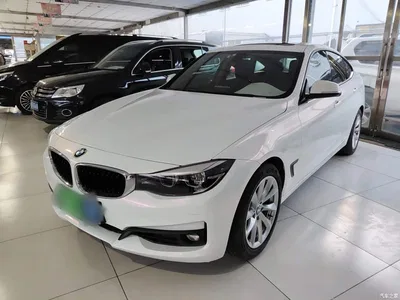 2019 BMW 3 Series GT 320i Fashion Model, фото 2, лот 10473709