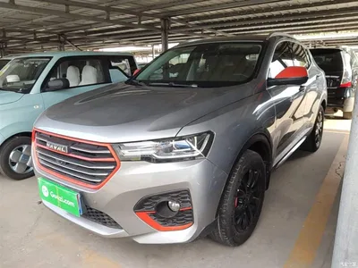 2019 Haval H4 1.5GDIT Pro Edition China VI, фото 2, лот 10287107