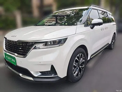 2021 Kia Carnival 2.0T Flagship Edition, фото 1, лот 10845822