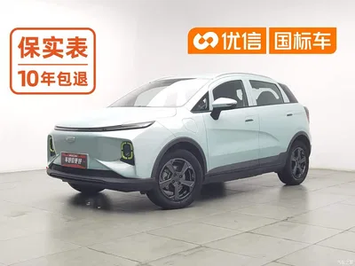 2023 Geely E Firefly 320KM Cute Tiger 5-seater, фото 1, лот 11148322