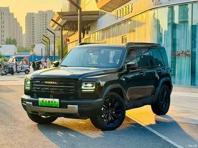 2026 Haval Meng Long NEV Hi4 145, фото 1, лот 10296748