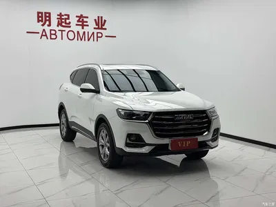 2021 Haval H6 Model National Trend Edition 1.5T Auto Champion, фото 3, лот 10296104
