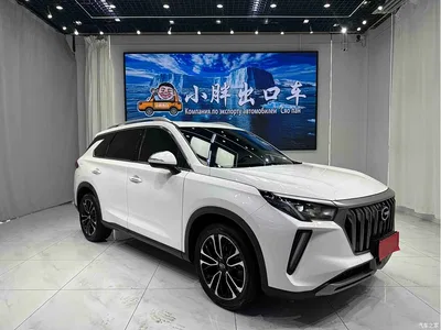 2021 GAC Trumpchi Trumpchi GS4 PLUS 270T Automatic Galaxy Edition, фото 3, лот 11174799
