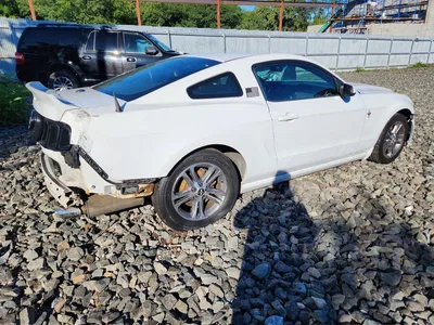 2014 FORD MUSTANG, фото 3, лот 10529812