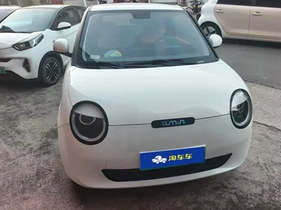 2023 Changan Qiyuan Changan Lumin Model 205km Fragrant Edition, фото 2, лот 10407325