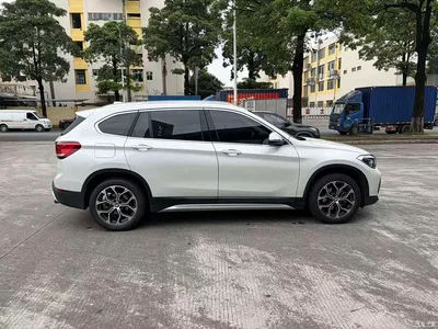 2020 BMW X1 sDrive20Li Premium Edition, фото 4, лот 10465298