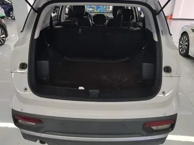 2020 Baojun 530 1.5T Manual Luxury 7-seater, фото 4, лот 10479067