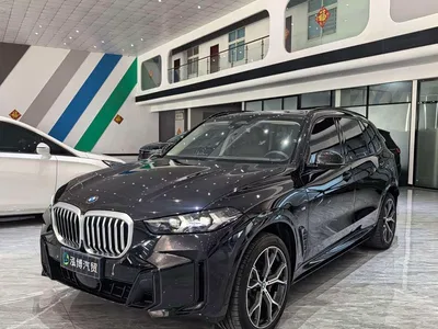 2023 BMW X5 xDrive 30Li Premium M Sport Black Night Package, фото 1, лот 10445757