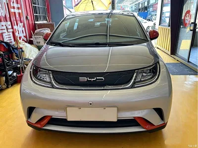 2021 BYD Dolphin Model 405km Fashion Edition, фото 2, лот 10257625
