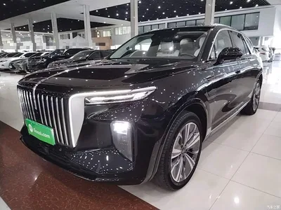 2021 Hongqi E-HS9 460km Flagship Comfort 6-seater, фото 2, лот 10415970