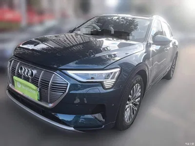 2019 Audi e-tron (Import) 55 quattro Fashion, фото 1, лот 10694071