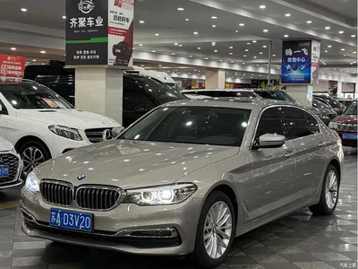 2019 BMW 5 Series 530Li Leading Luxury Package, фото 1, лот 10476456