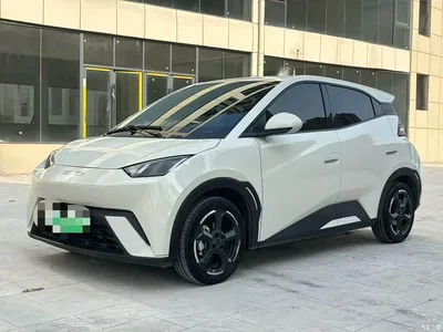 2024 BYD Seagull Glory Edition 305km Freedom Edition, фото 1, лот 10255520