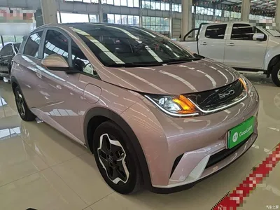 2021 BYD Dolphin Model 405km Fashion Edition, фото 4, лот 10264171