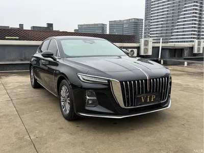 2023 Hongqi H5 2.0T Auto Smart Connect Flag Comfort, фото 3, лот 10287480