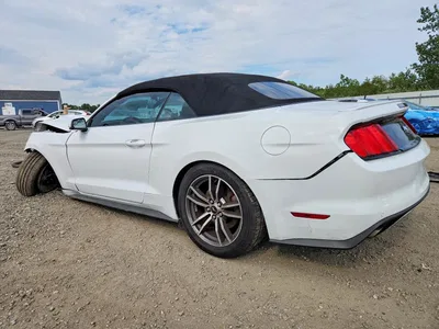 2017 FORD MUSTANG I4 CONVERTIBLE, фото 2, лот 10531640