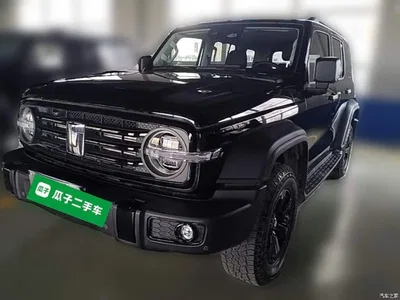 2025 Tank 300 2.0T Challenger, фото 3, лот 10345477